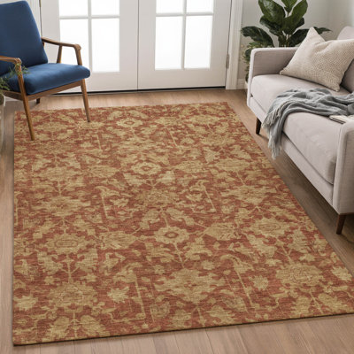 Tapis traditionnel lavable à la machine intérieur / extérieur ACN2358