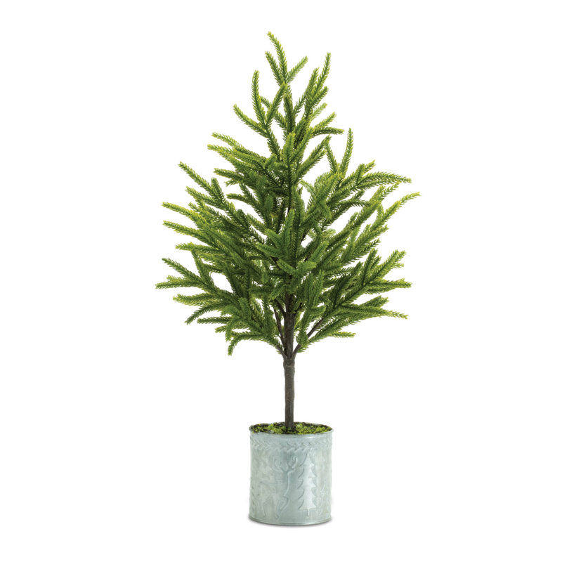 Mini pin en pot (ensemble de 2)