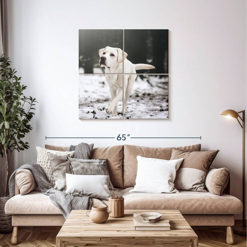 Brampt Labrador Retriever, H 38 po x l 38 po