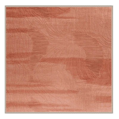 Machine Washable Abstract Brown Area Rug