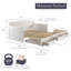 Lit de jour avec couchette escamotable et tiroirs de rangement Harmony, blanc