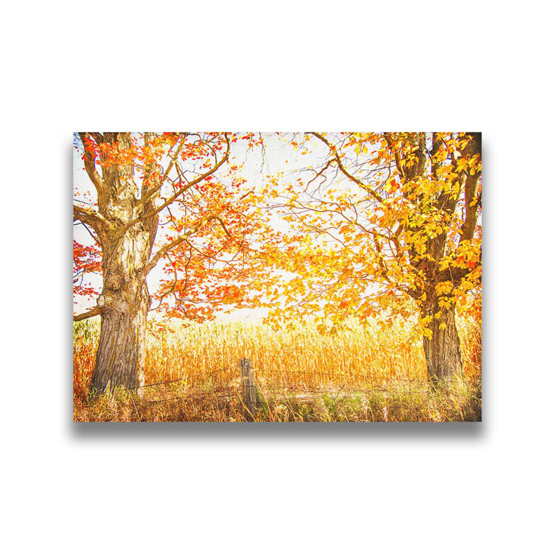 Encadré par Fall par Hal Halli. Impression sur papier - Montée et encadrée avec de l'acrylique transparent, H 34 po x l 44 po