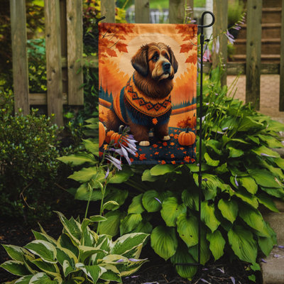 Drapeau de jardin Briard Fall