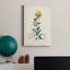 «Traditional Botanical III», impression sur toile tendue-1594425900