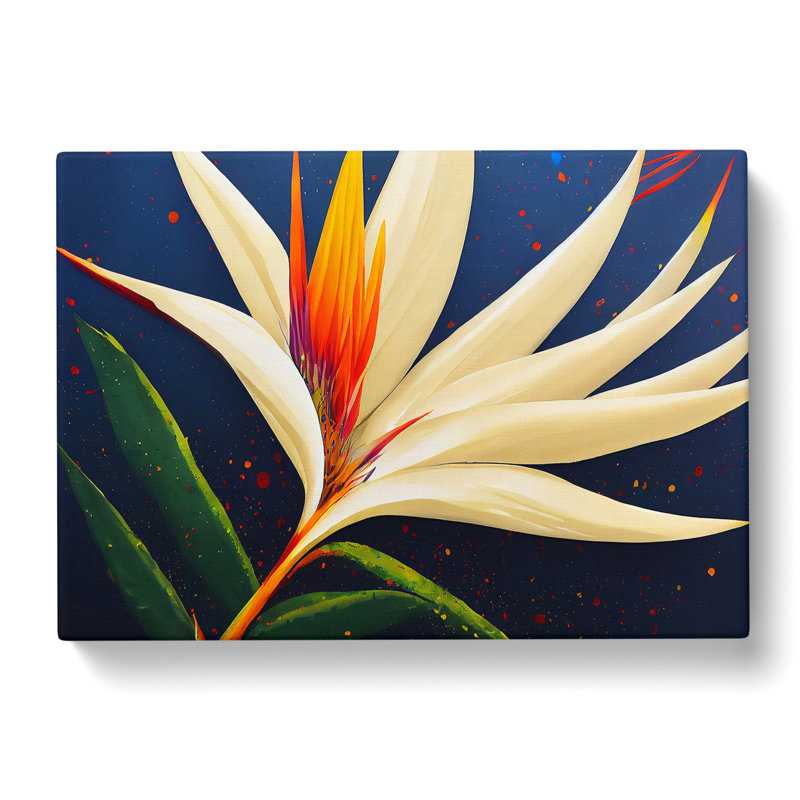 Bird Of Paradise Flower Splash Vol.1 - Wrapped Canvas, 35cm H x 50cm W x 3cm D