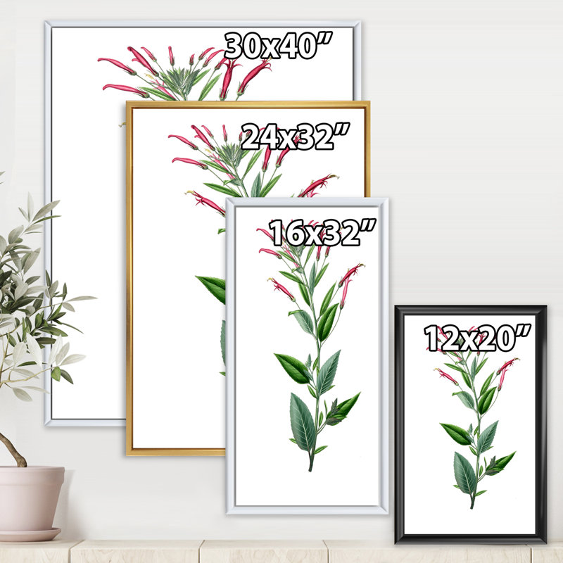 Vintage American Flora III - peinture sur toile, H 20 po x l 12 po x P 1po, Cadre flottant noir