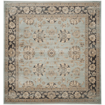 Ayansh Performance Oriental Rug