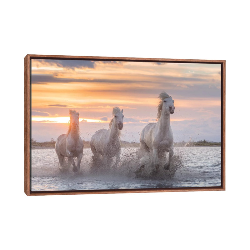 White Angels Of Camargue XXXII by Daniel Kordan - Print on Canvas, 66.04 cm H x 45.72 cm W, Classic Brown Wood Framed