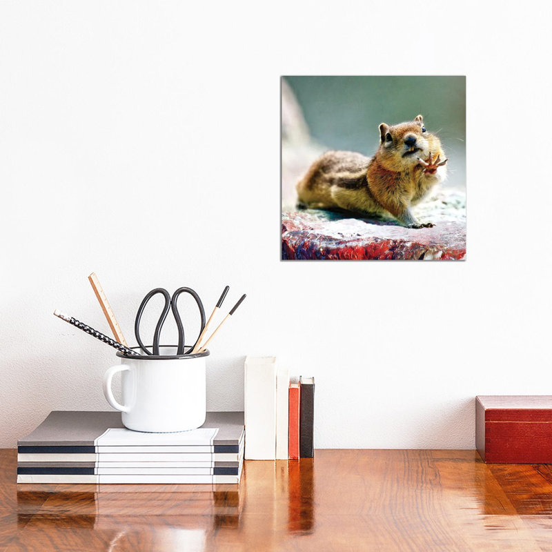 Talk To The Hand - Chipmunk Art by OLena Art - Wrapped Canvas Print, 30.48cm H x 30.48cm W x 1.91cm D