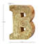 Alphabet écologique Haddam-1721795612-1721795609