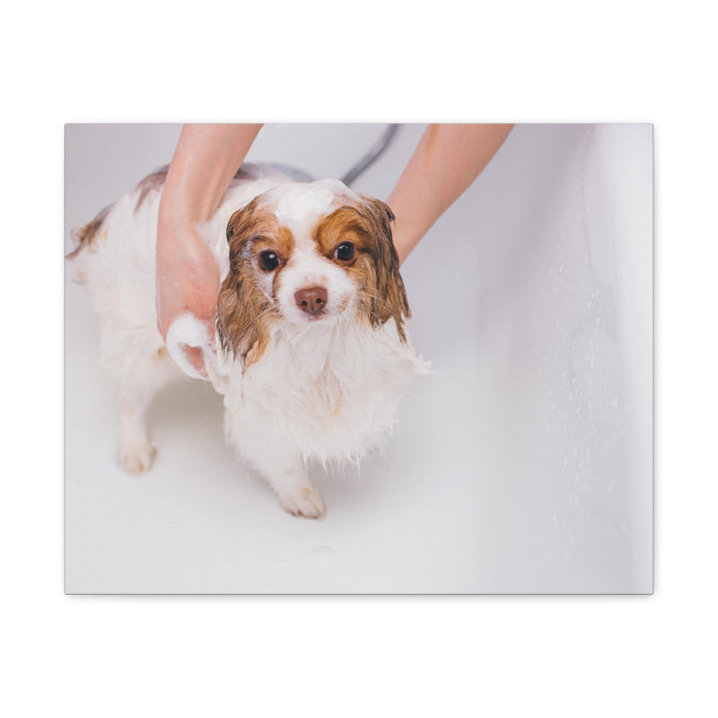 No Frame Print on Canvas