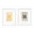 White Framed selected