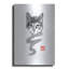 Art mural en métal luxueux «Chat Line» par Pechane, 12 po x 16 po-101656974