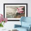 Roseate Spoonbill by John Audubon - Single Picture Frame Print-48235302-48235306