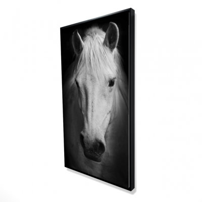 Monochrome Horse Print On Canvas