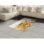 Easterday Hand Woven Area Rug-2069624801