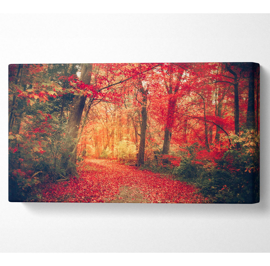 Sharbono Red Tree Walk - Panorama-Kunstdrucke auf Leinwand - Wrapped Canvas