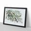 The Olive Branch - Framed Print-55611684-55611686