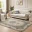 Altider Persian Area Rug-1662275335