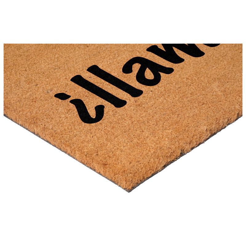 Paillasson Llamaste 17 po x 29 po