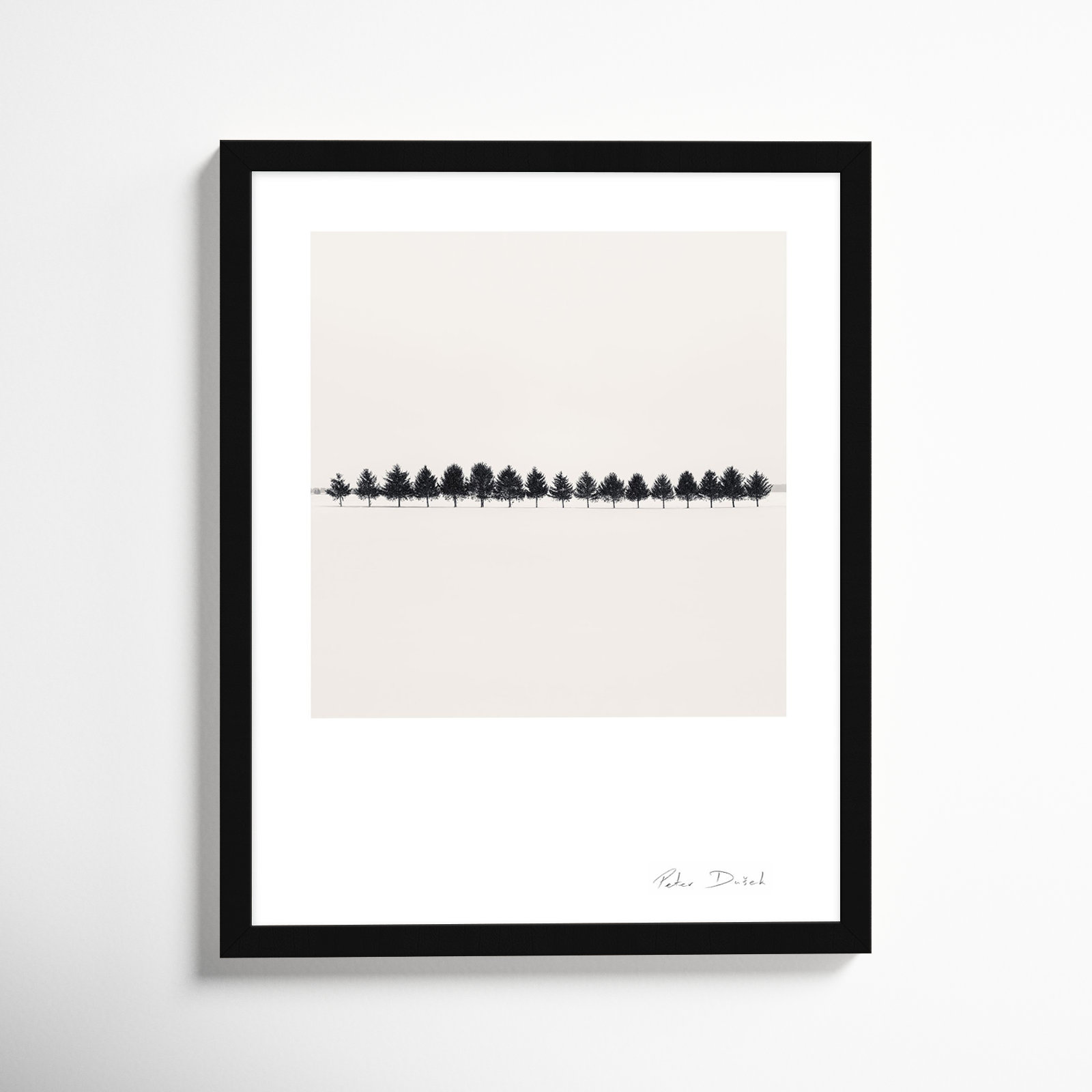 Seventeen Trees by Peter Dušek, Black, 20" H x 16" W x 1.25" D