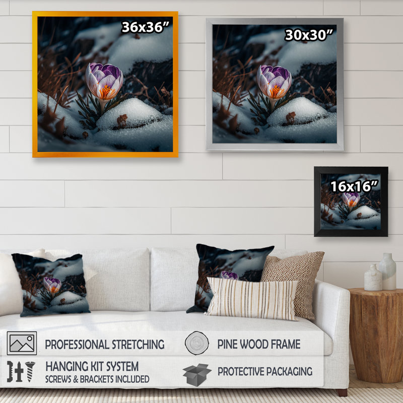 Une fleur de crocus en fleurs III - Photographie sur toile, Impression noire sur toile encadrée, H 16 po x l 16 po x P 1 po