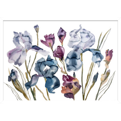 Irises No. 2 Print by Elizabeth Becker