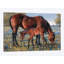 « wildflower », impression sur toile tendue-32591210-72130986-72130987