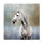 Art sur toile Katrina Jones «Misty Gray Dappled Horse»-294904014