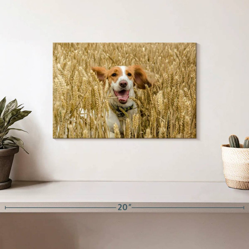 Happy Cocker Spaniel, 8" H x 12" W