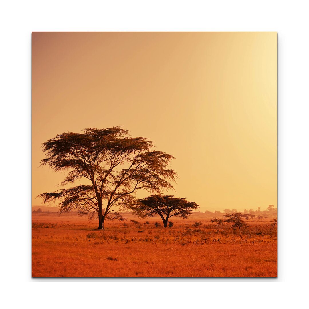 Leinwandbild Köcherbaum in Namibia – Afrika