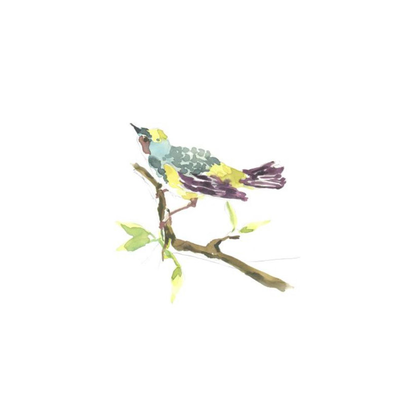 Myrtle Warbler Painting by Fern Cassidy, Knife Gel, 46" H x 36" W x 1.5" D