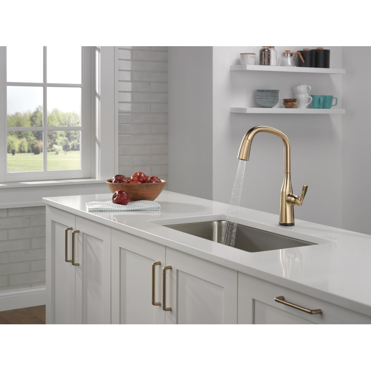 Stryke Pull Down Touchless Single Handle Kitchen Faucet with Delta VoiceIQ Technology and With Accessories
