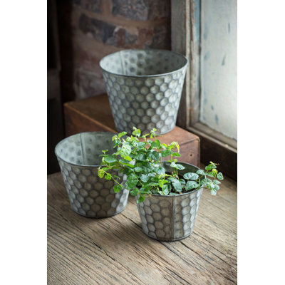 Aarzoo Metal Pot Planter