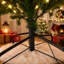 Fir Christmas Tree-1666979781