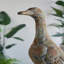 Figurine 12 x 8,3 x 23 po Farmhouse Duck
