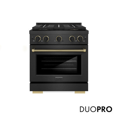 ZLINE Designer 30 in. DuoPro Dual Fuel Range in Black Satin Steel with Black and Bronze Accents