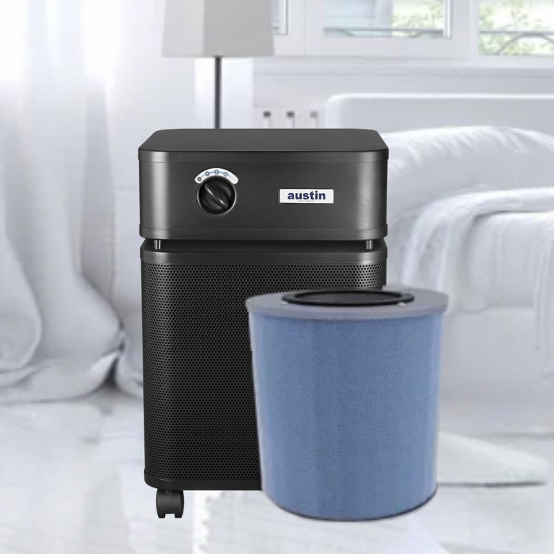 Filtre de rechange pour machine Austin Air, noir