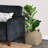 Birch Lane™ Devyani Basket-1682139452
