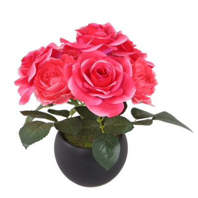 Fleurs roses en pot 9 po