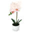 Centres de table orchidées phalaenopsis en pot-1994886771-1996288491