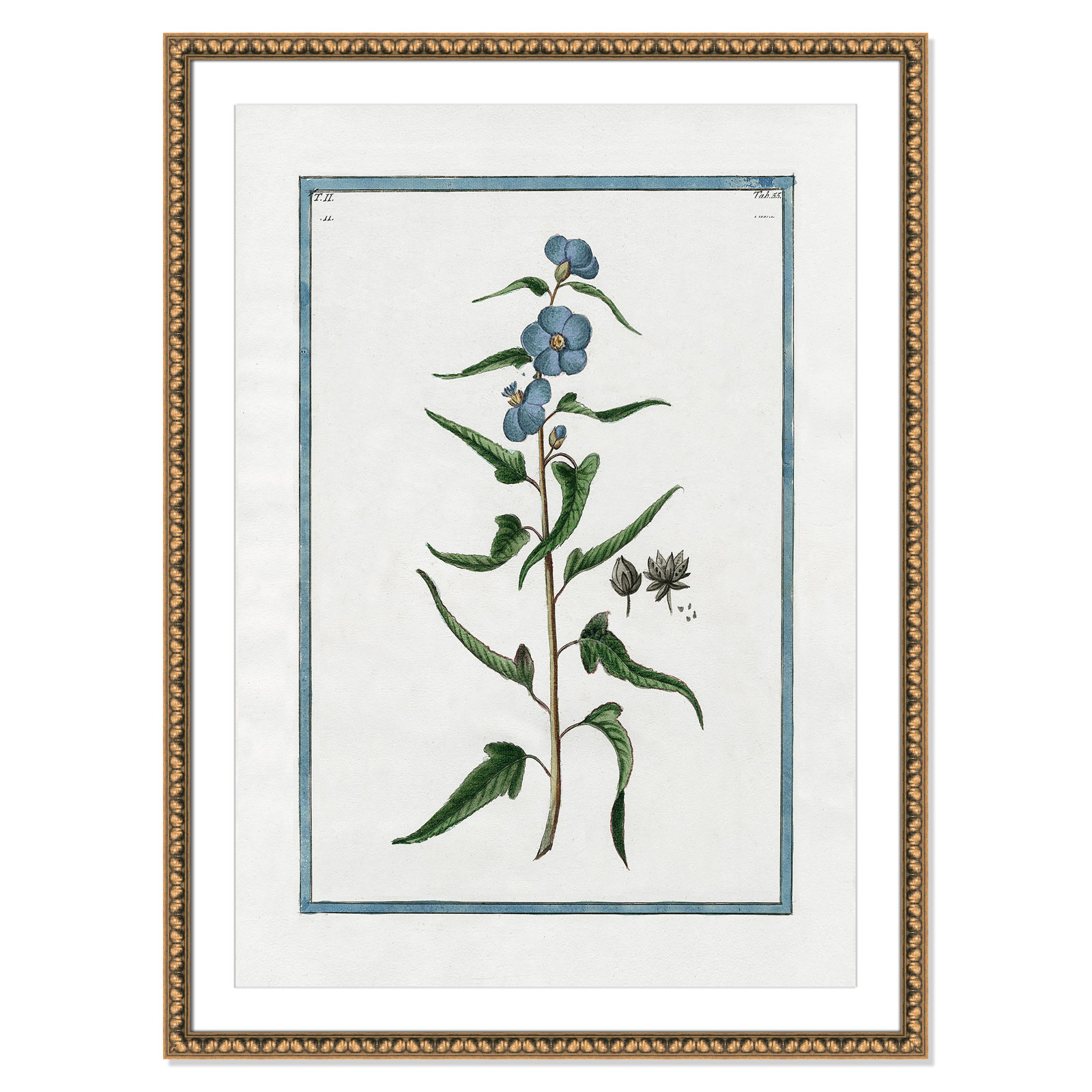 Colombe "Shabby Elegance Botanical I" Print, 30.5" W x 42.5" H, Gold Bead Framed