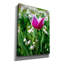 «Flower Iv» par Epic Portfolio, art mural sur toile-715540021