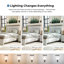 Lit Lonegan-1669937641-1669937646