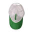 Casquette Shamrock de la Saint-Patrick