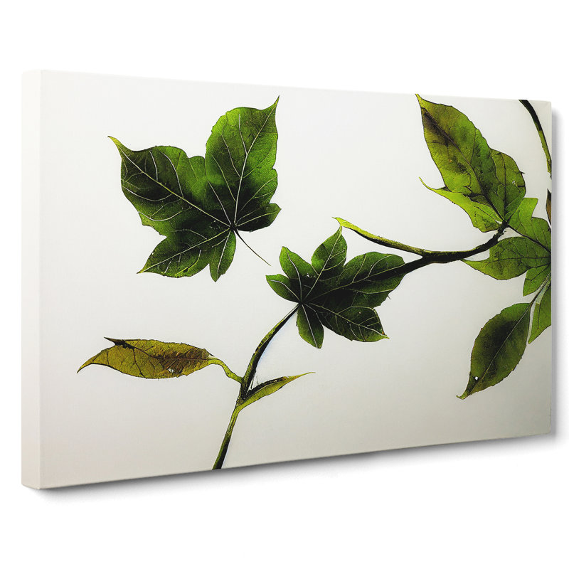Garden Leaves - Wrapped Canvas Painting, 35cm H x 50cm W x 3cm D