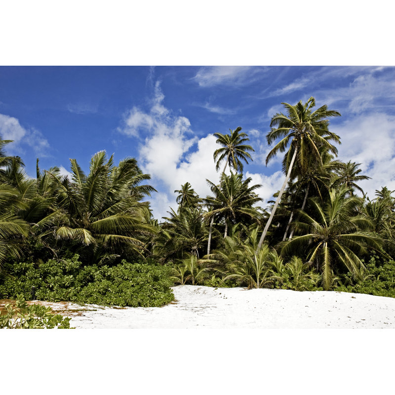 Palm Trees by Aleksle - Wrapped Canvas Print, 20cm H x 30cm W x 3.8cm D