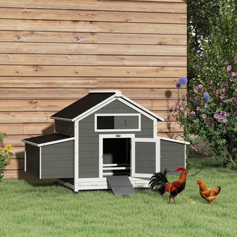 Chicken Cage