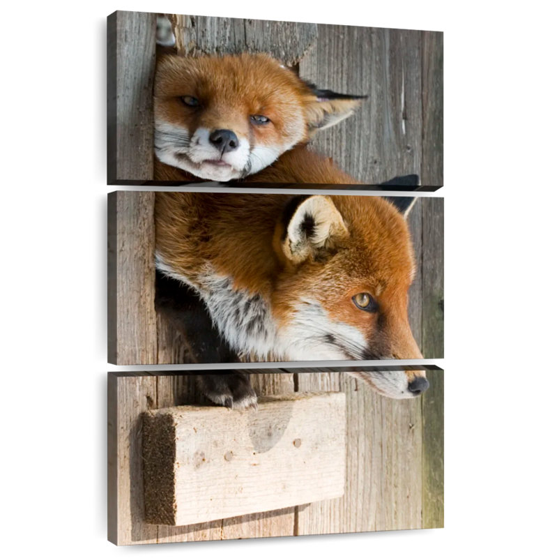 Brampt Sleepy Red Fox, 65" H x 42" W