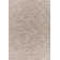 Caysee Indoor / Outdoor Rug